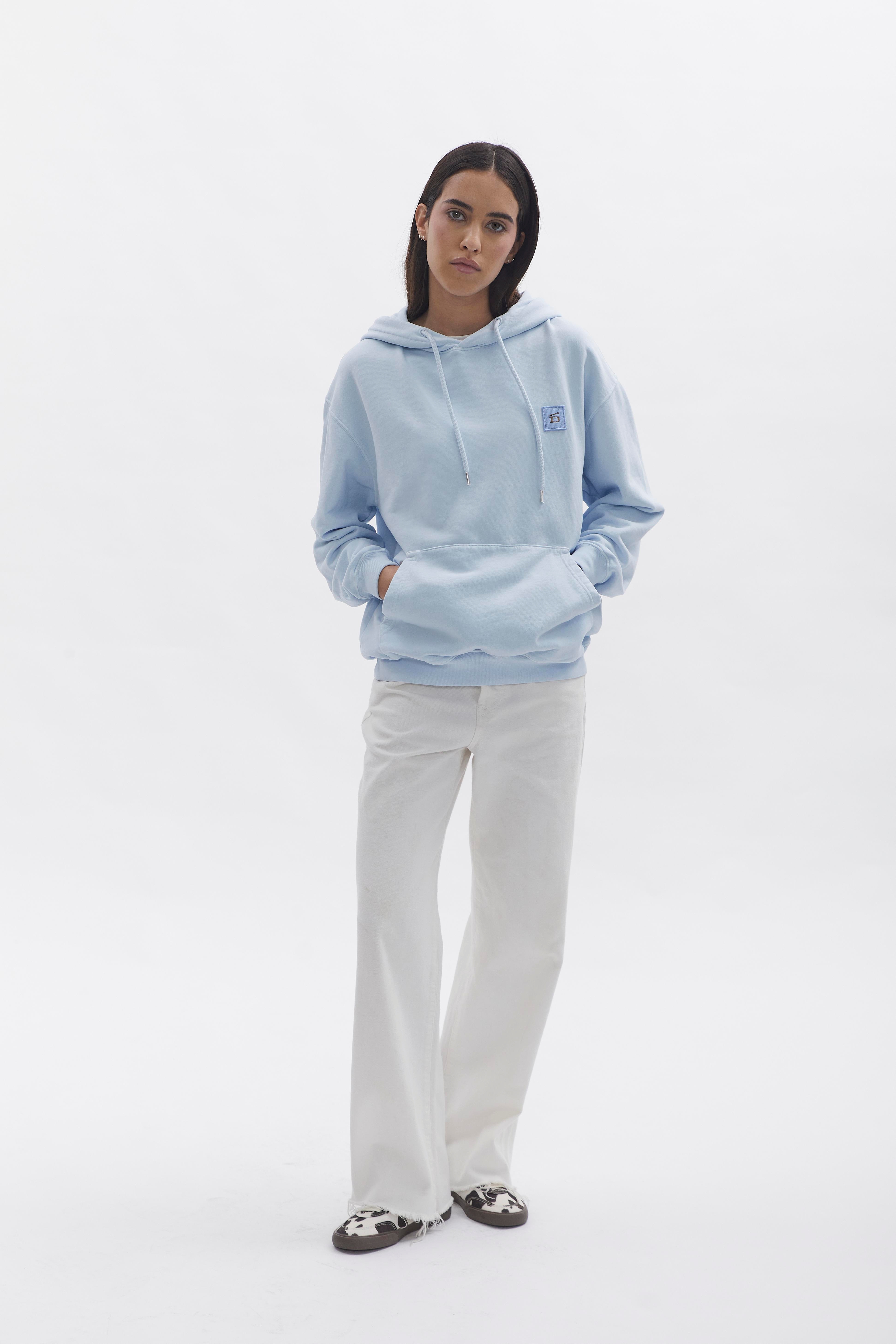 D-Brand, Hoodies, Zip Hoodies, D-Hoodie, ICE BLUE, 220101, 220101-407